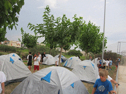 camp300