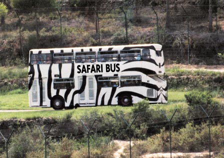 AQL_safari-bus_2 AQL_safari-bus_2